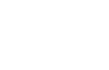 Janus Hybrid-Core Quant